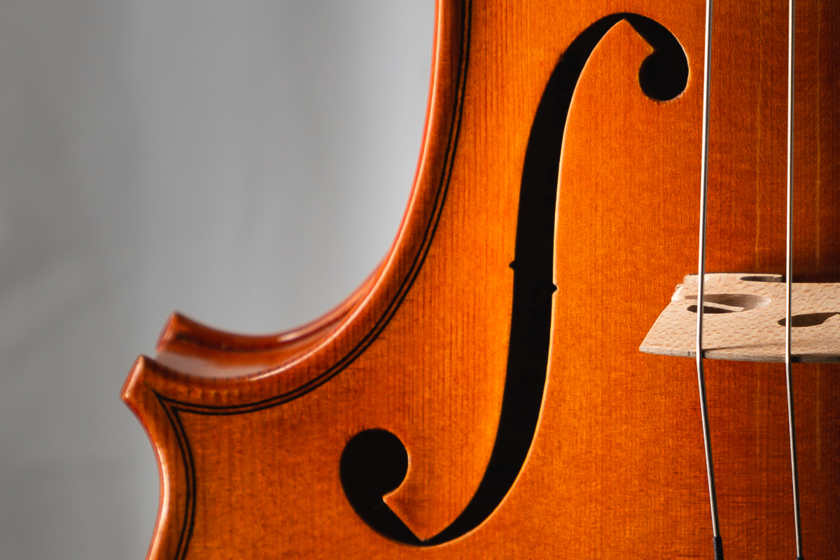 Detail on a Violin right f hole in color