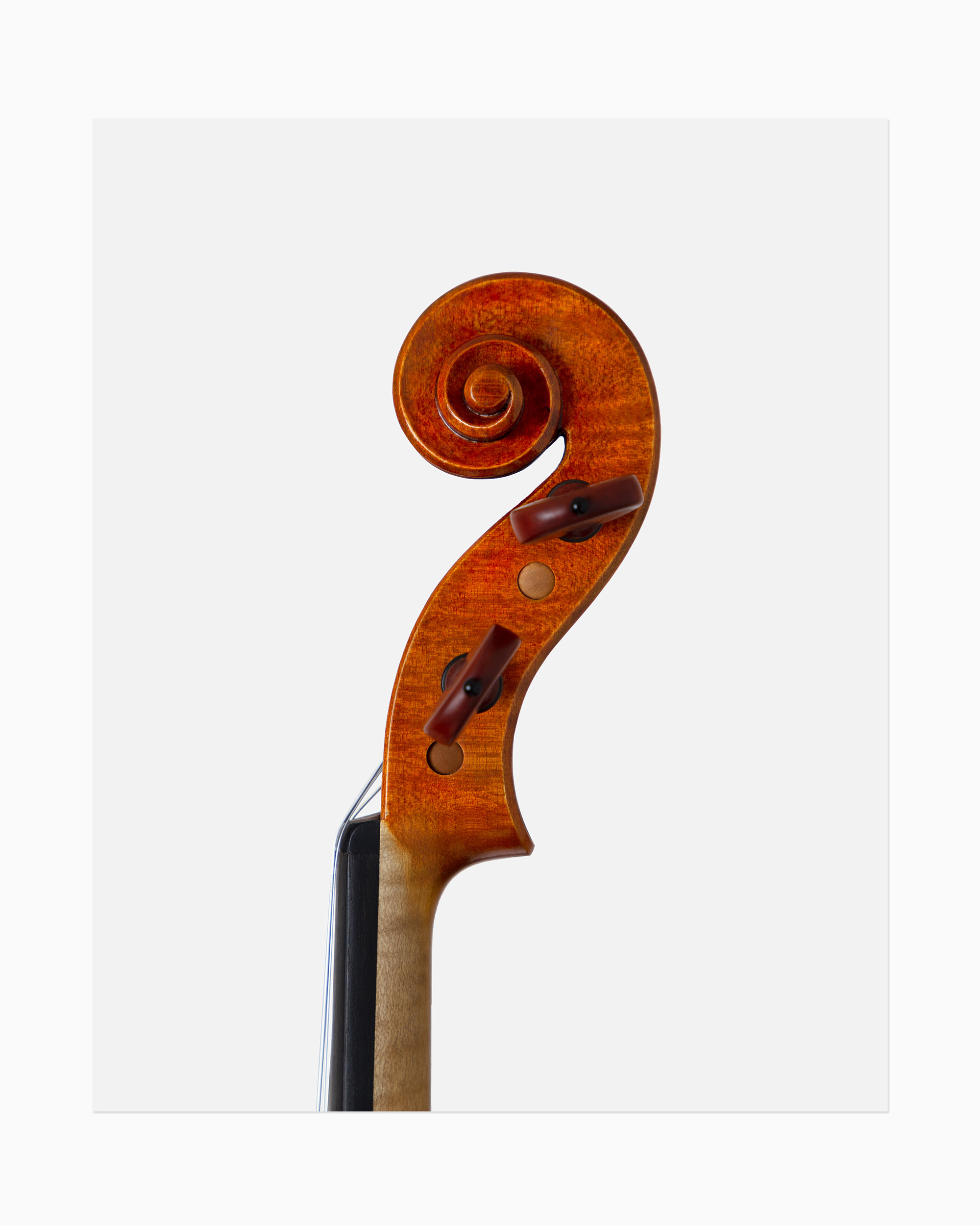 Scroll detail from the left side in color